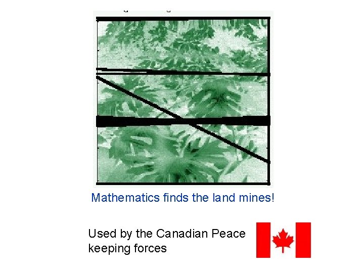 Mathematics finds the land mines! Used by the Canadian Peace keeping forces 