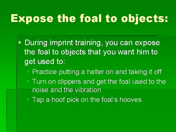 Expose the foal to objects: § During imprint training, you can expose the foal