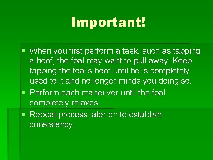 Important! § When you first perform a task, such as tapping a hoof, the