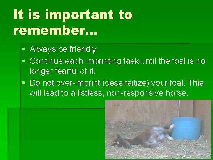 It is important to remember… § Always be friendly § Continue each imprinting task
