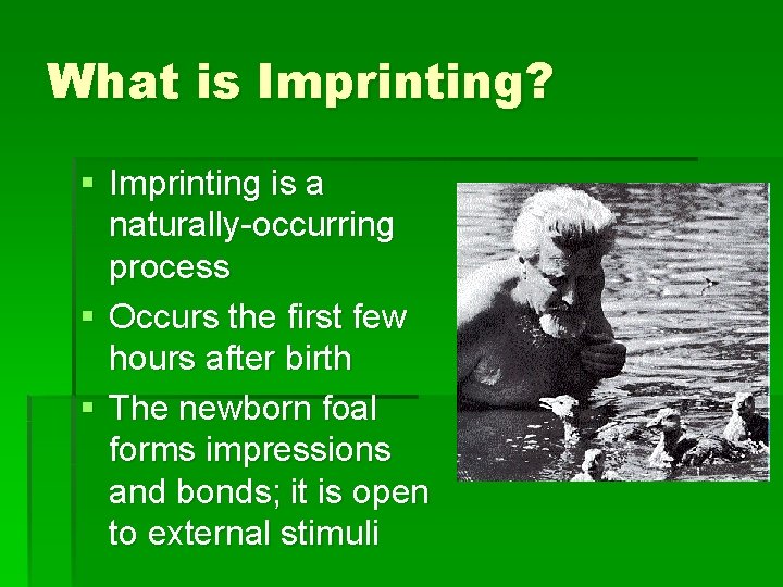 What is Imprinting? § Imprinting is a naturally-occurring process § Occurs the first few