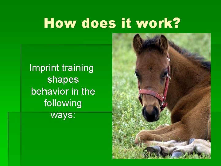 How does it work? Imprint training shapes behavior in the following ways: 