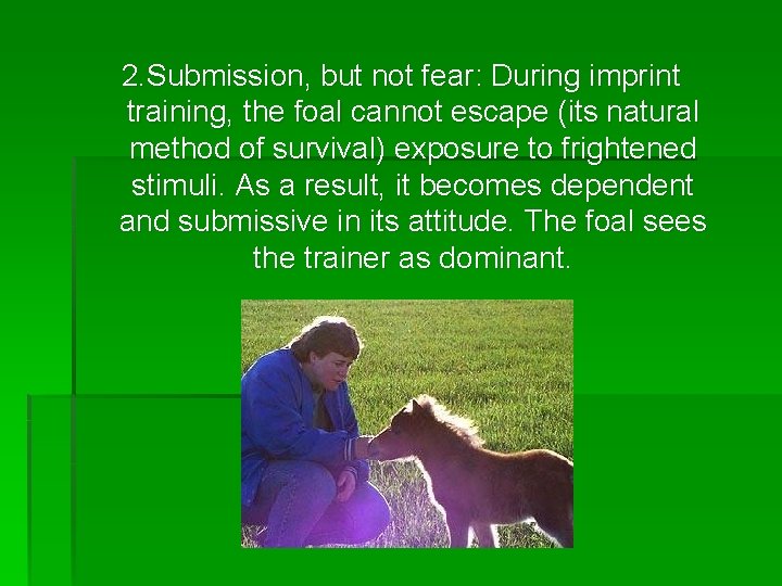 2. Submission, but not fear: During imprint training, the foal cannot escape (its natural