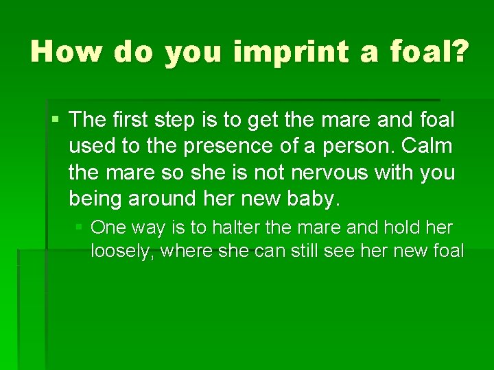 How do you imprint a foal? § The first step is to get the