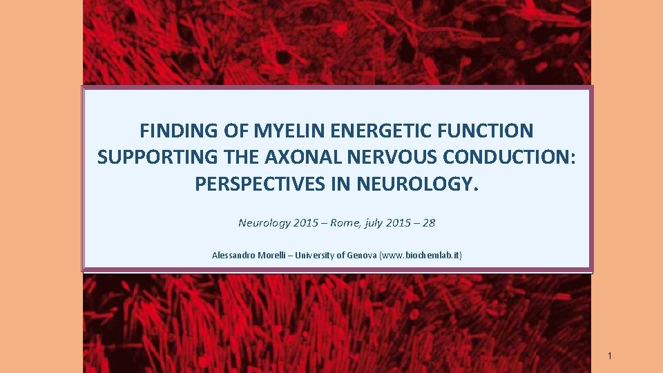 FINDING OF MYELIN ENERGETIC FUNCTION SUPPORTING THE AXONAL NERVOUS CONDUCTION: PERSPECTIVES IN NEUROLOGY. Neurology