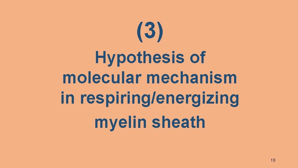 (3) Hypothesis of molecular mechanism in respiring/energizing myelin sheath 19 