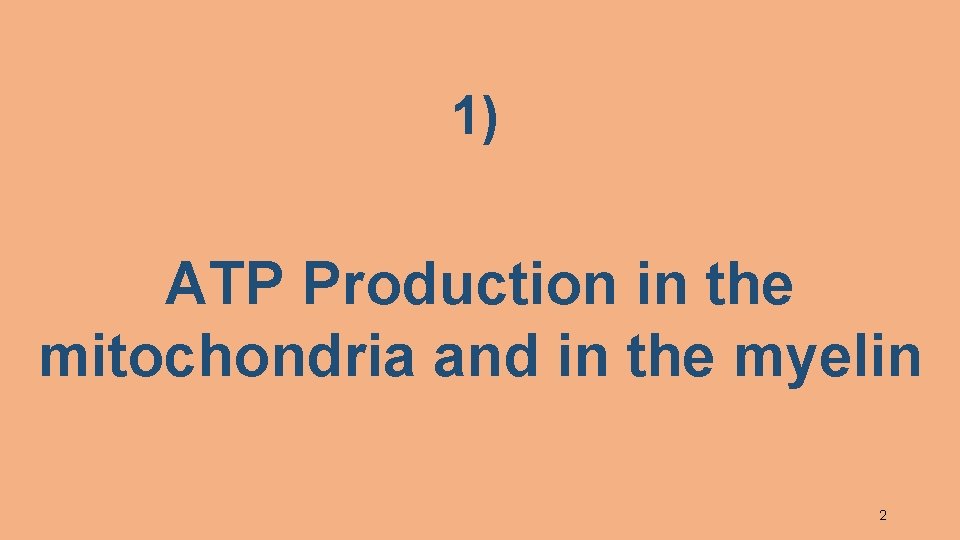 1) ATP Production in the mitochondria and in the myelin 2 