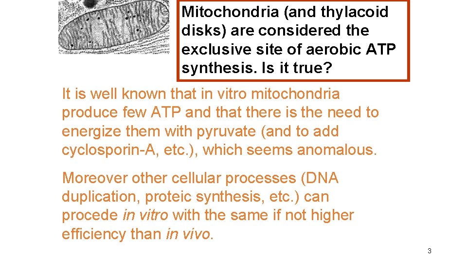 Mitochondria (and thylacoid disks) are considered the exclusive site of aerobic ATP synthesis. Is