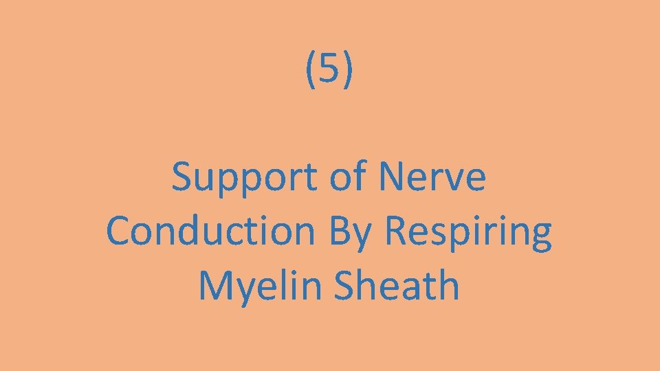 (5) Support of Nerve Conduction By Respiring Myelin Sheath 