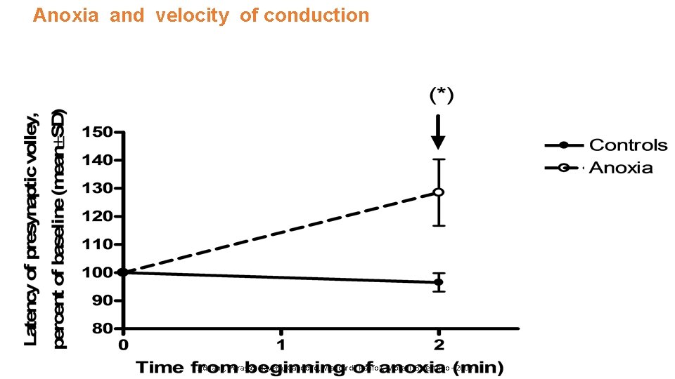 Anoxia and velocity of conduction Adriano, Perasso, Ravera, Gandolfo, Mancardi, Panfoli, Morelli, Balestrino -