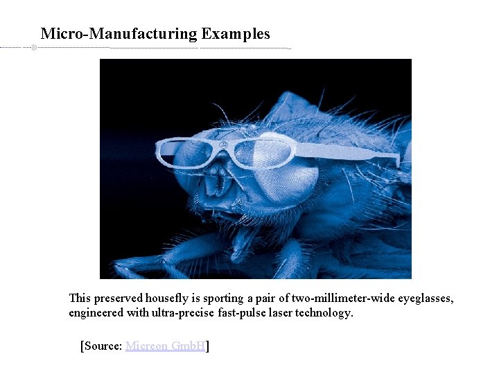 Micro-Manufacturing Examples This preserved housefly is sporting a pair of two-millimeter-wide eyeglasses, engineered with