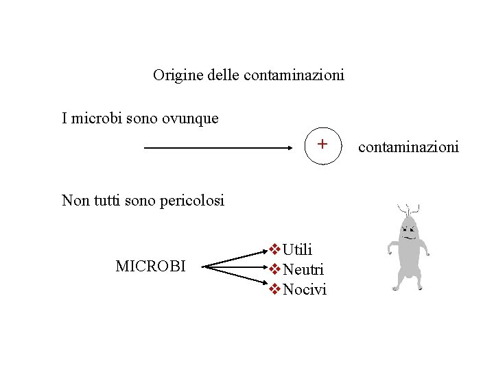 Origine delle contaminazioni I microbi sono ovunque + Non tutti sono pericolosi MICROBI v.