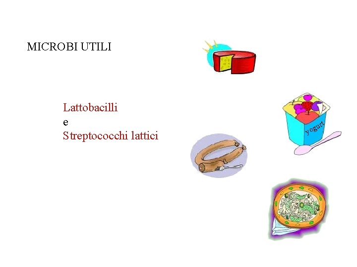 MICROBI UTILI Lattobacilli e Streptococchi lattici rt u g yo 