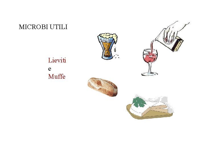 MICROBI UTILI Lieviti e Muffe 