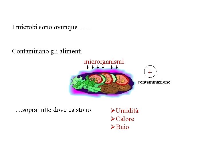 I microbi sono ovunque. . . . Contaminano gli alimenti microrganismi + contaminazione .