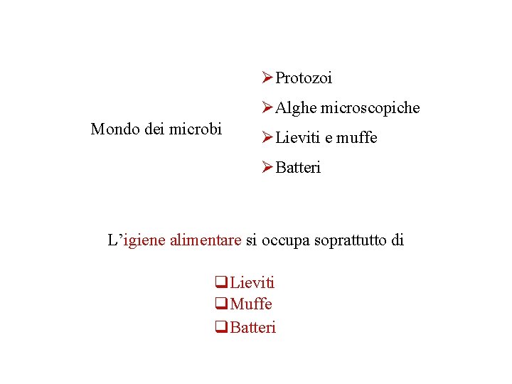 ØProtozoi ØAlghe microscopiche Mondo dei microbi ØLieviti e muffe ØBatteri L’igiene alimentare si occupa