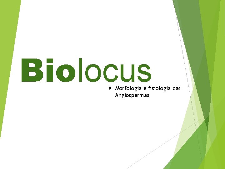 Biolocus Ø Morfologia e fisiologia das Angiospermas 