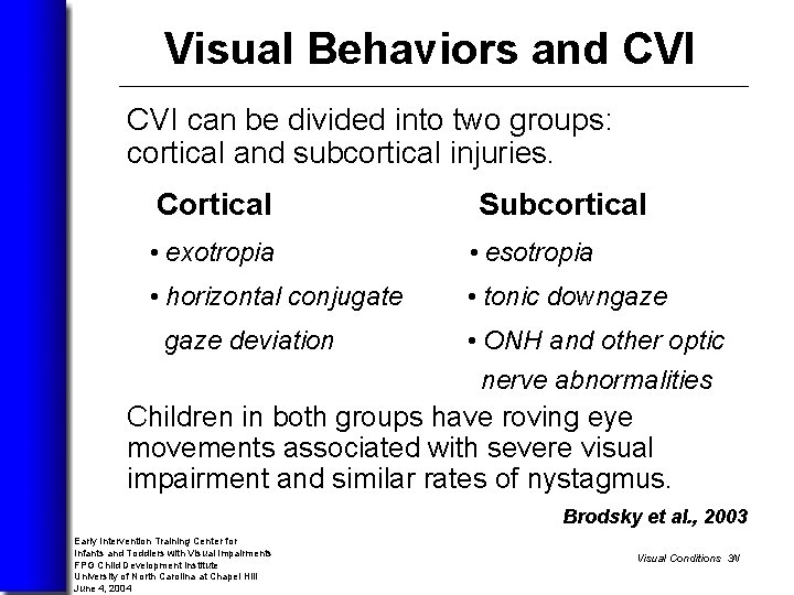 Visual Behaviors and CVI can be divided into two groups: cortical and subcortical injuries.
