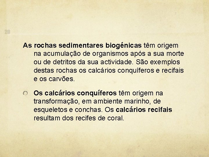 As rochas sedimentares biogénicas têm origem na acumulação de organismos após a sua morte