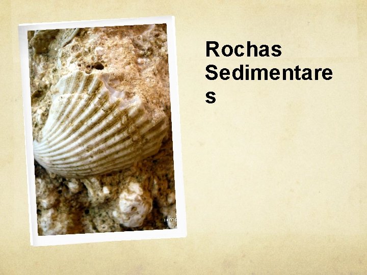 Rochas Sedimentare s 