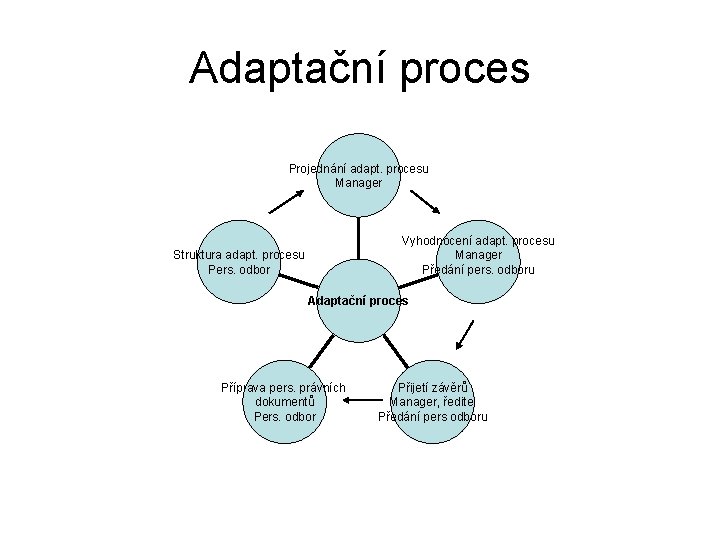 Adaptační proces Projednání adapt. procesu Manager Vyhodnocení adapt. procesu Manager Předání pers. odboru Struktura