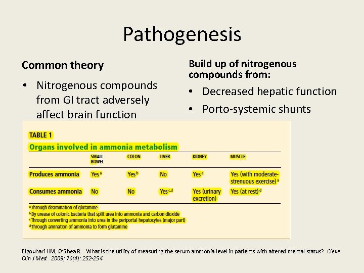 Pathogenesis Common theory • Nitrogenous compounds from GI tract adversely affect brain function Build