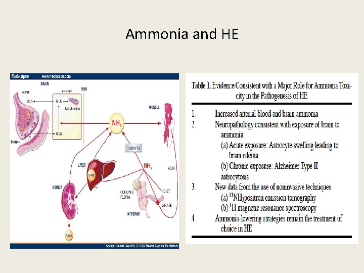 Ammonia and HE 