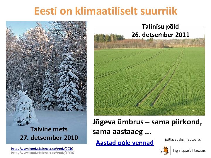 Eesti on klimaatiliselt suurriik Talinisu põld 26. detsember 2011 Talvine mets 27. detsember 2010