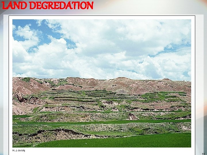 LAND DEGREDATION 