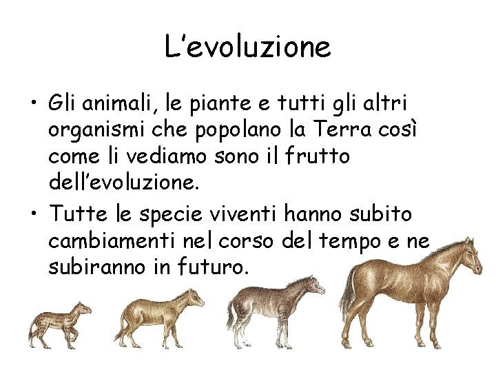 L’evoluzione • Gli animali, le piante e tutti gli altri organismi che popolano la