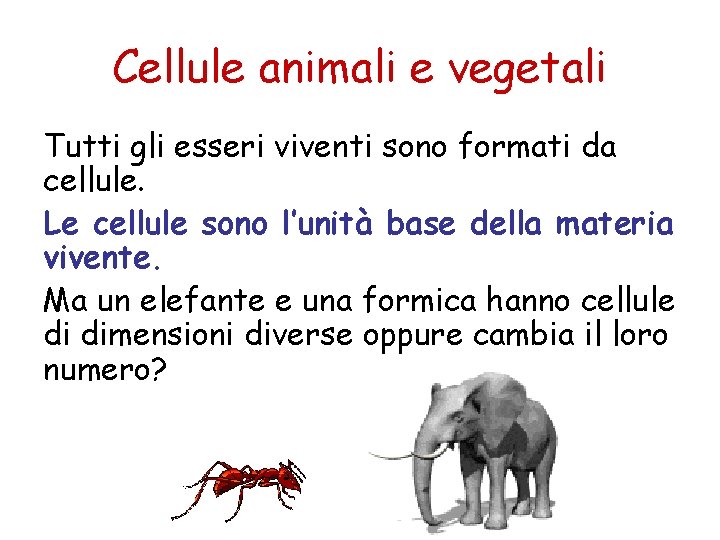 Cellule animali e vegetali Tutti gli esseri viventi sono formati da cellule. Le cellule