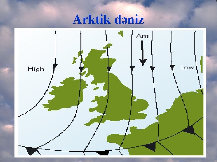 Arktik dəniz 