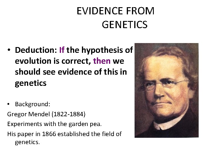 EVIDENCE FROM GENETICS • Deduction: If the hypothesis of evolution is correct, then we