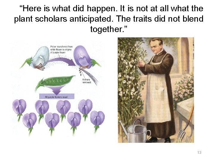 “Here is what did happen. It is not at all what the plant scholars