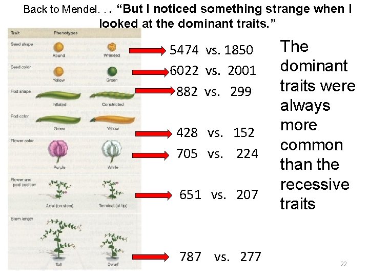 Back to Mendel. . . “But I noticed something strange when I looked at