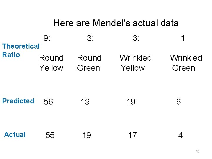 Here are Mendel’s actual data Theoretical Ratio 9: Round Yellow 3: Round Green Wrinkled