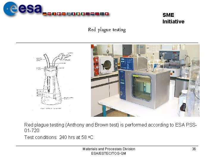 SME Initiative Red plague testing (Anthony and Brown test) is performed according to ESA