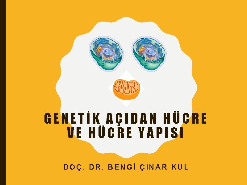 GENETİK AÇIDAN HÜCRE VE HÜCRE YAPISI DOÇ. DR. BENGİ ÇINAR KUL 