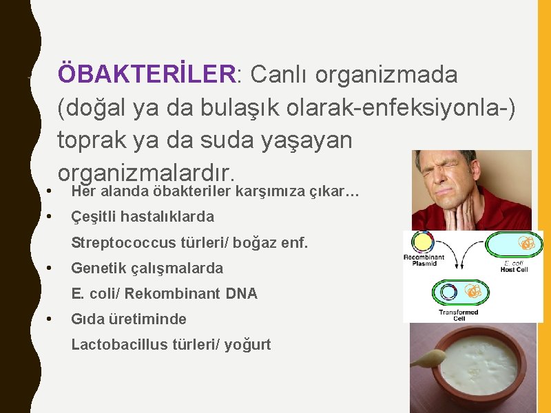  • ÖBAKTERİLER: Canlı organizmada ÖBAKTERİLER (doğal ya da bulaşık olarak-enfeksiyonla-) toprak ya da