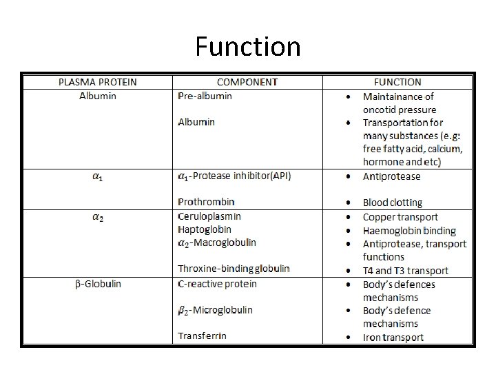 Function 