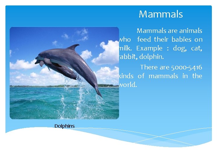 Mammals are animals who feed their babies on milk. Example : dog, cat, rabbit, Mammals are animals who feed their babies on milk. Example : dog, cat, rabbit,