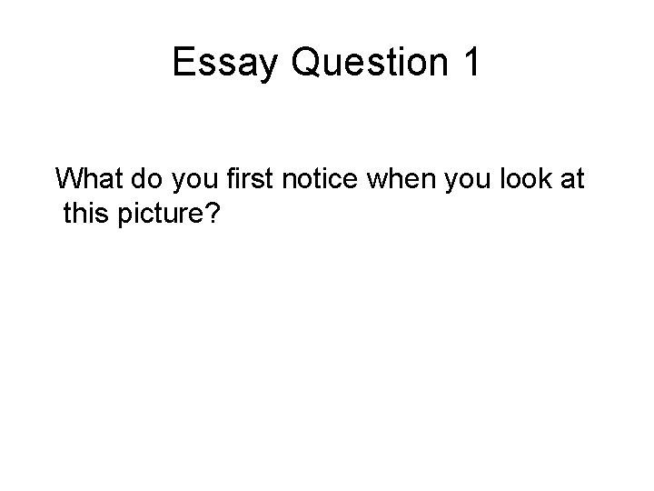 Essay Question 1 What do you first notice when you look at this picture?
