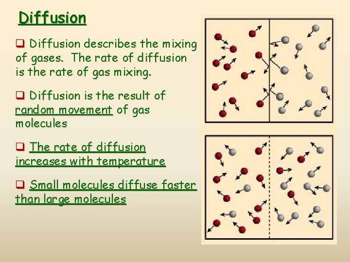 Diffusion q Diffusion describes the mixing of gases. The rate of diffusion is the