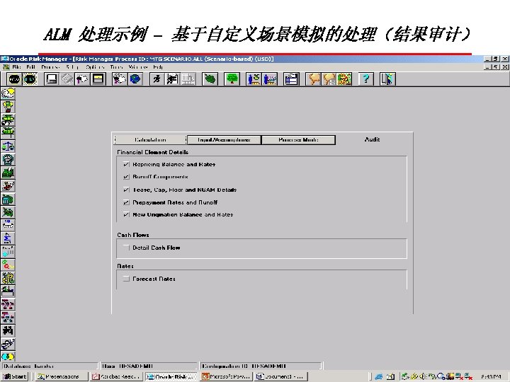 ALM 处理示例 – 基于自定义场景模拟的处理（结果审计） Copyright © 2003, Oracle. All rights reserved. 