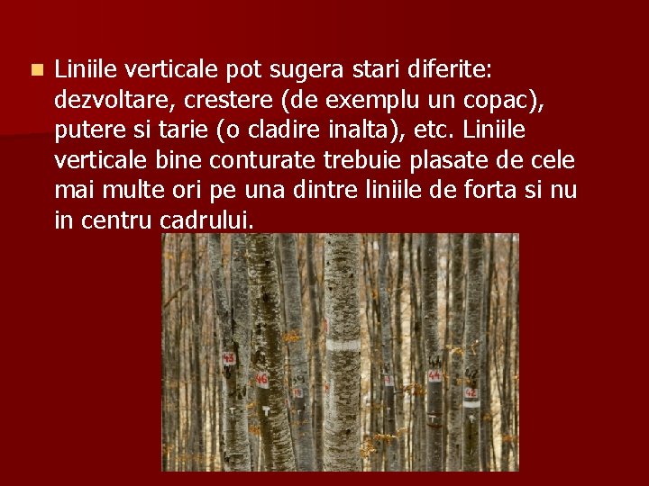 n Liniile verticale pot sugera stari diferite: dezvoltare, crestere (de exemplu un copac), putere n Liniile verticale pot sugera stari diferite: dezvoltare, crestere (de exemplu un copac), putere