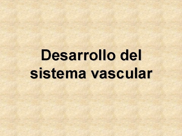 Desarrollo del sistema vascular 