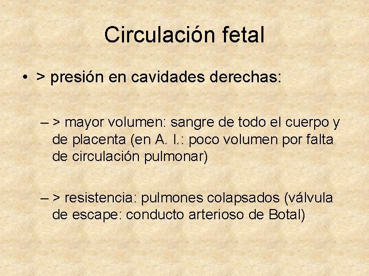 Circulación fetal • > presión en cavidades derechas: – > mayor volumen: sangre de