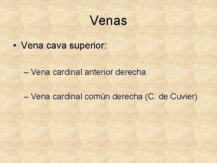 Venas • Vena cava superior: – Vena cardinal anterior derecha – Vena cardinal común