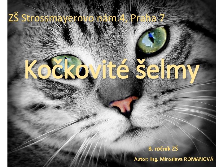 ZŠ Strossmayerovo nám. 4, Praha 7 Kočkovité šelmy 8. ročník ZŠ Autor: Ing. Miroslava