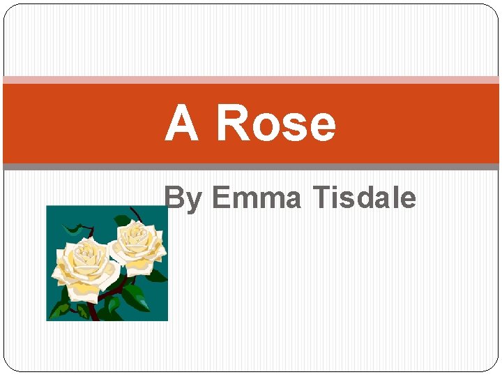 A Rose By Emma Tisdale 